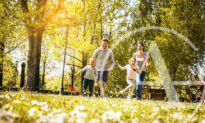 City parks for the whole family