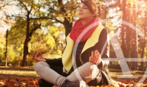 Enjoy the fall season in Highland Park.